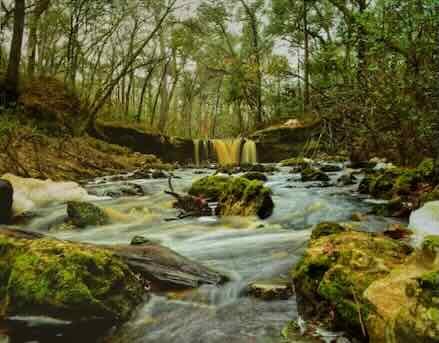 Falling Creek Falls