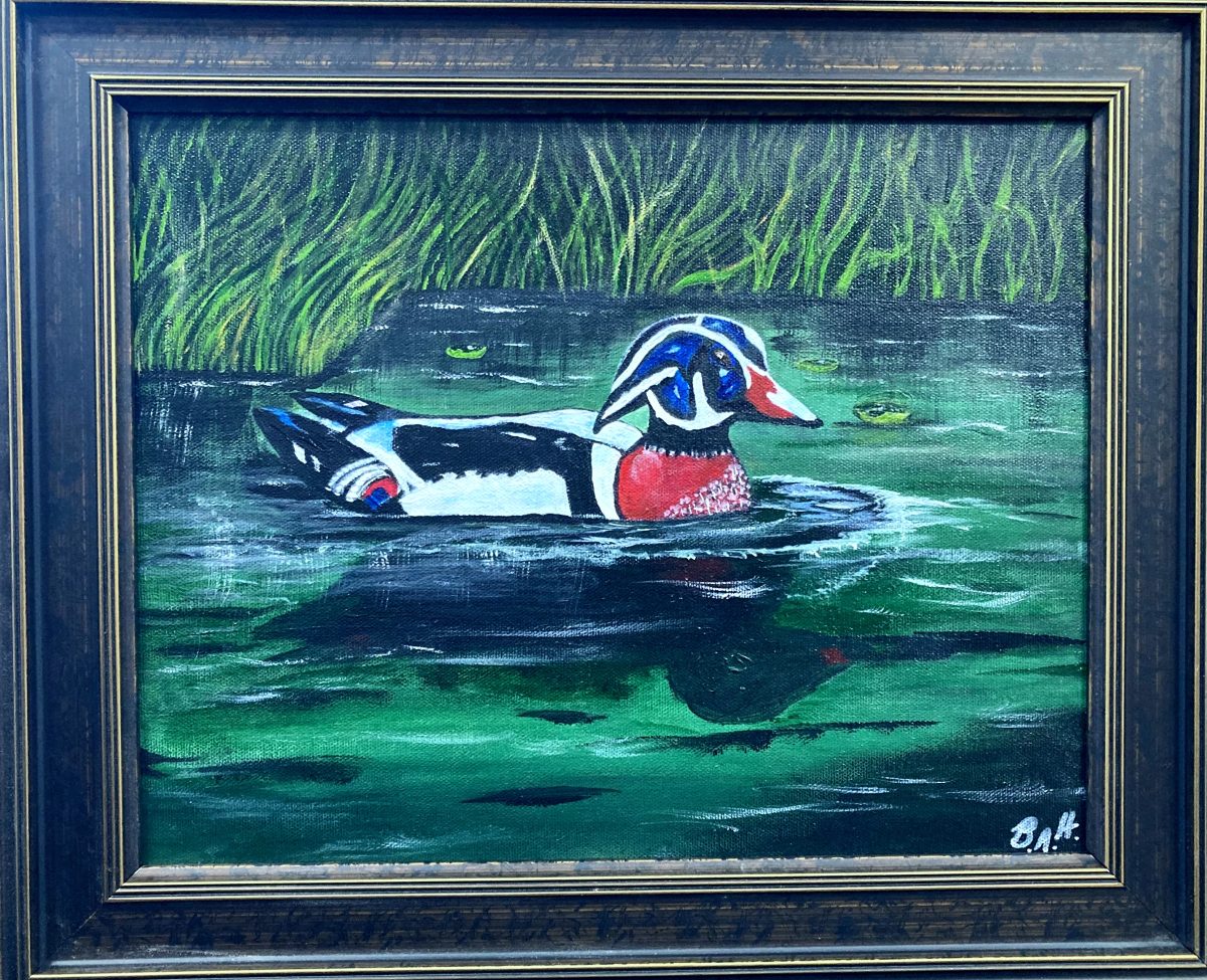 All-American Duck