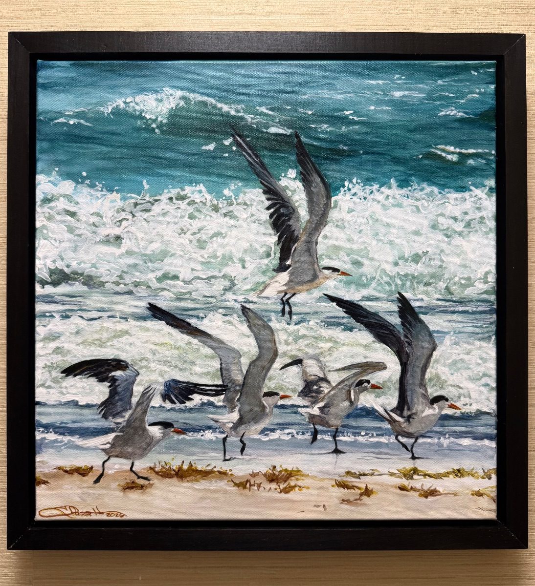 675 Vilano Seagulls